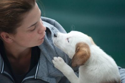 Peluquería canina: Servicios de calidad para el cuidado de tu mascota