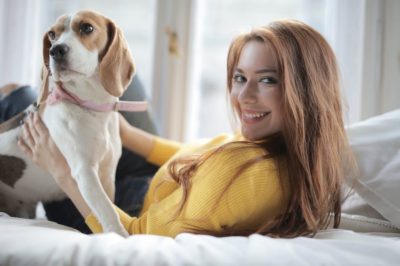 Todo lo que necesitas saber sobre el perro Beagle: características cuidados y curiosidades